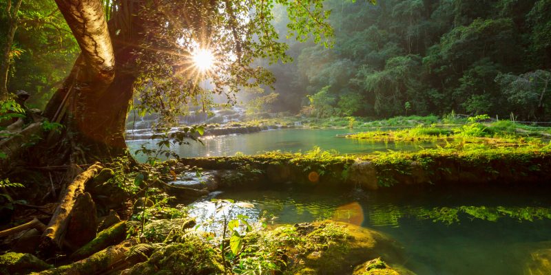 Promieniotwórczość naturalna